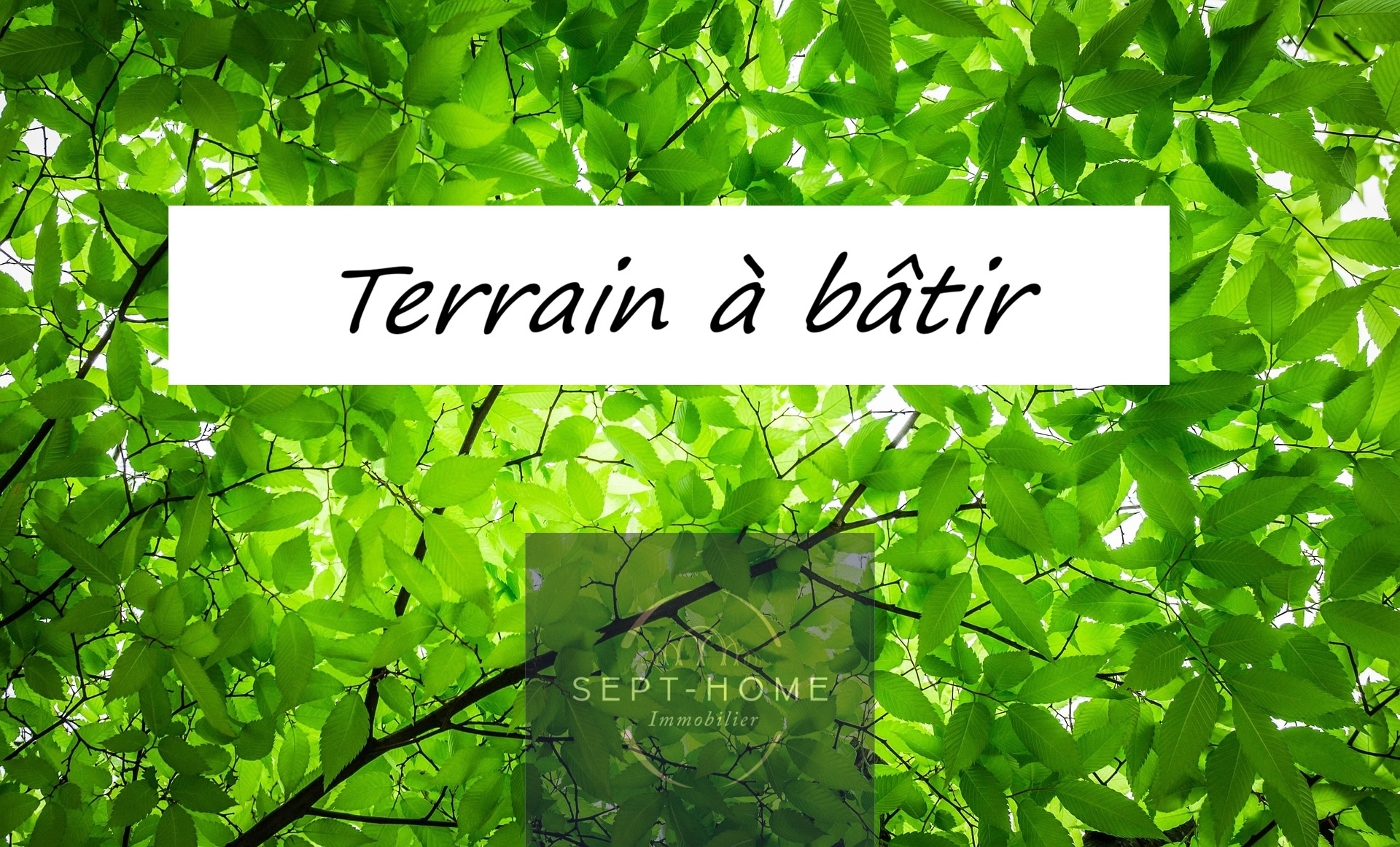 Agence immobilière de SEPT-HOME IMMOBILIER